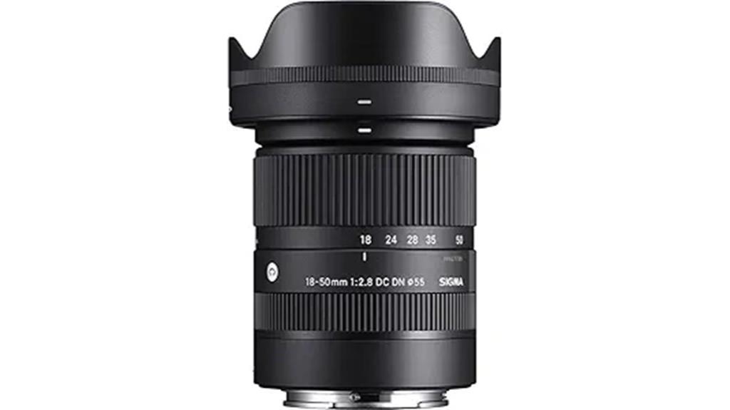 standard e mount zoom lens
