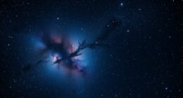 top cmos astro cameras