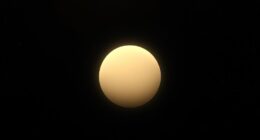 venus brightest in february