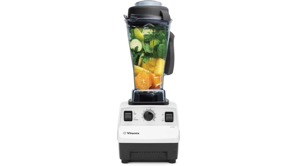 professional blender for kitchen
