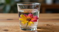 distinguishing seeing and transparency