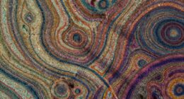 noisy pattern reappearance