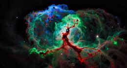 top narrowband filters 2026