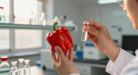 Venom and hot peppers offer a key to killing resistant bacteria