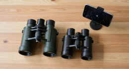 15 Best Astrophotography Telescopes for Beginners in 2026