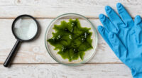 E Pluribus Algae: Why Green Pond Scum Is as American as Red, White and Blue