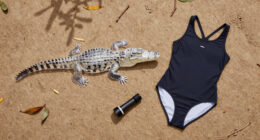 Florida woman swimming in river killed in rare alligator attack at state forest