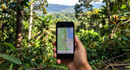 M 5.4 - 201 Km W Of Abepura, Indonesia