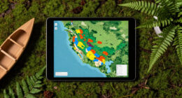 Amazonian Civilization Had Estimated 3M People In 3% Of Forest Area