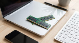 Demystifying DRAM Read Disturbance: RowHammer And RowPress Phenomena