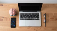 Is AI Reasoning Right For The Wrong Reasons?