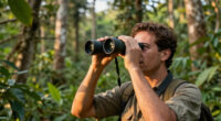 Odzala-Kokoua National Park Surges In Global Coverage