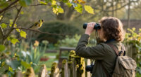 Best Gifts for a Bird Watcher: Backyard and Field Picks They'll Enjoy Using